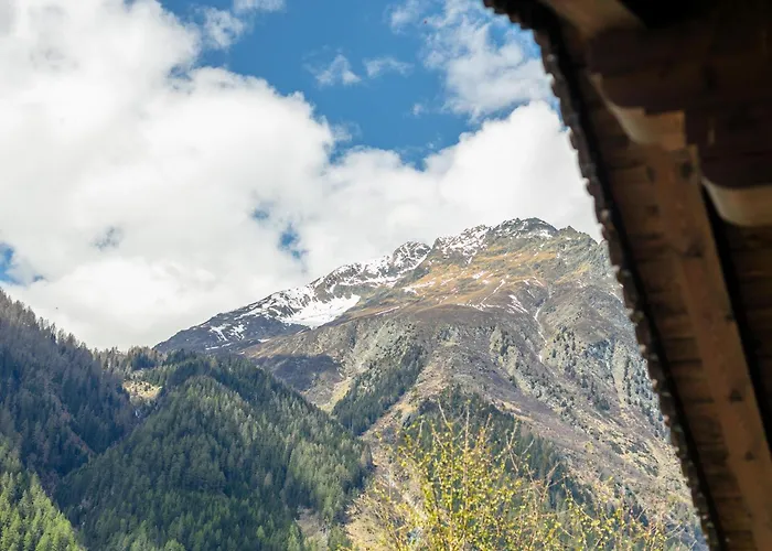 Schweizerhof Arnika 公寓 胡本